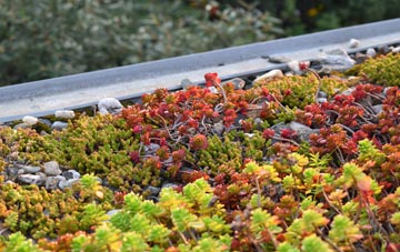 the cost of Peat Inn green roof installation