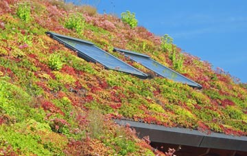 Peat Inn living roof systems